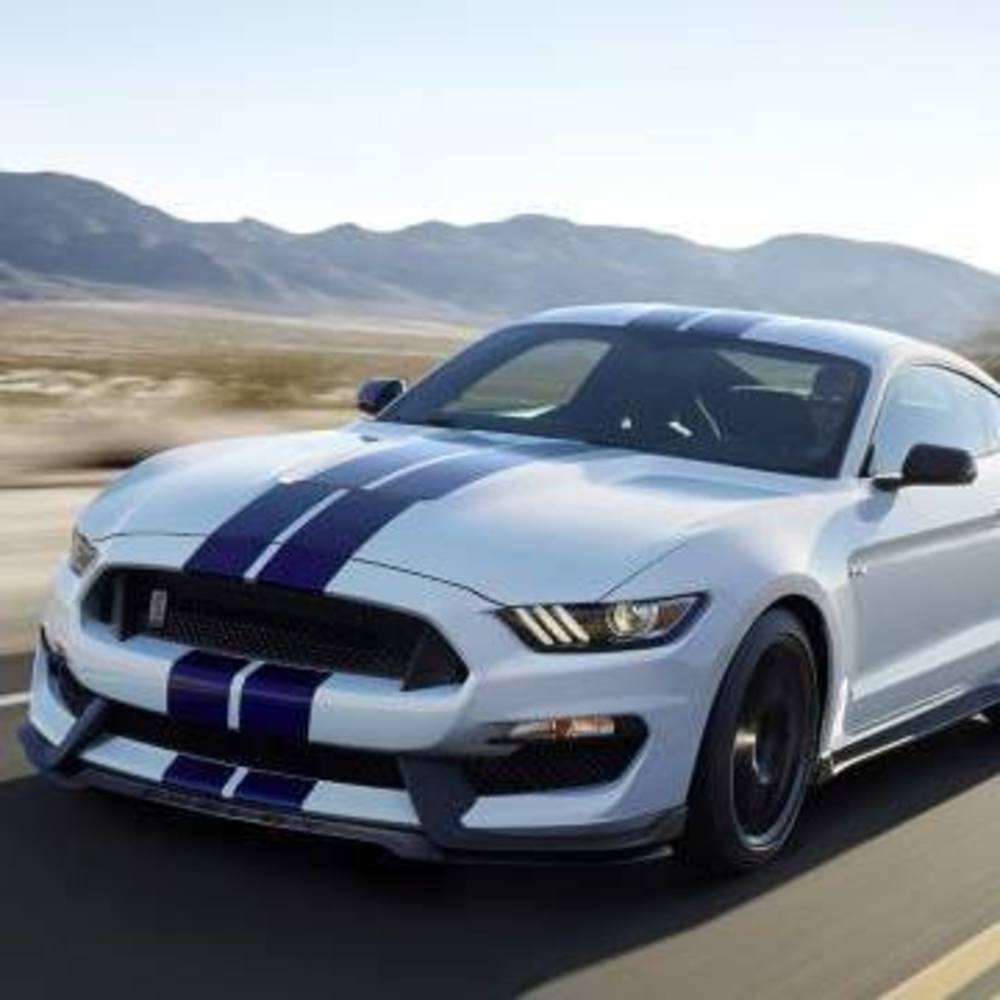 Meet your Posher, Colby